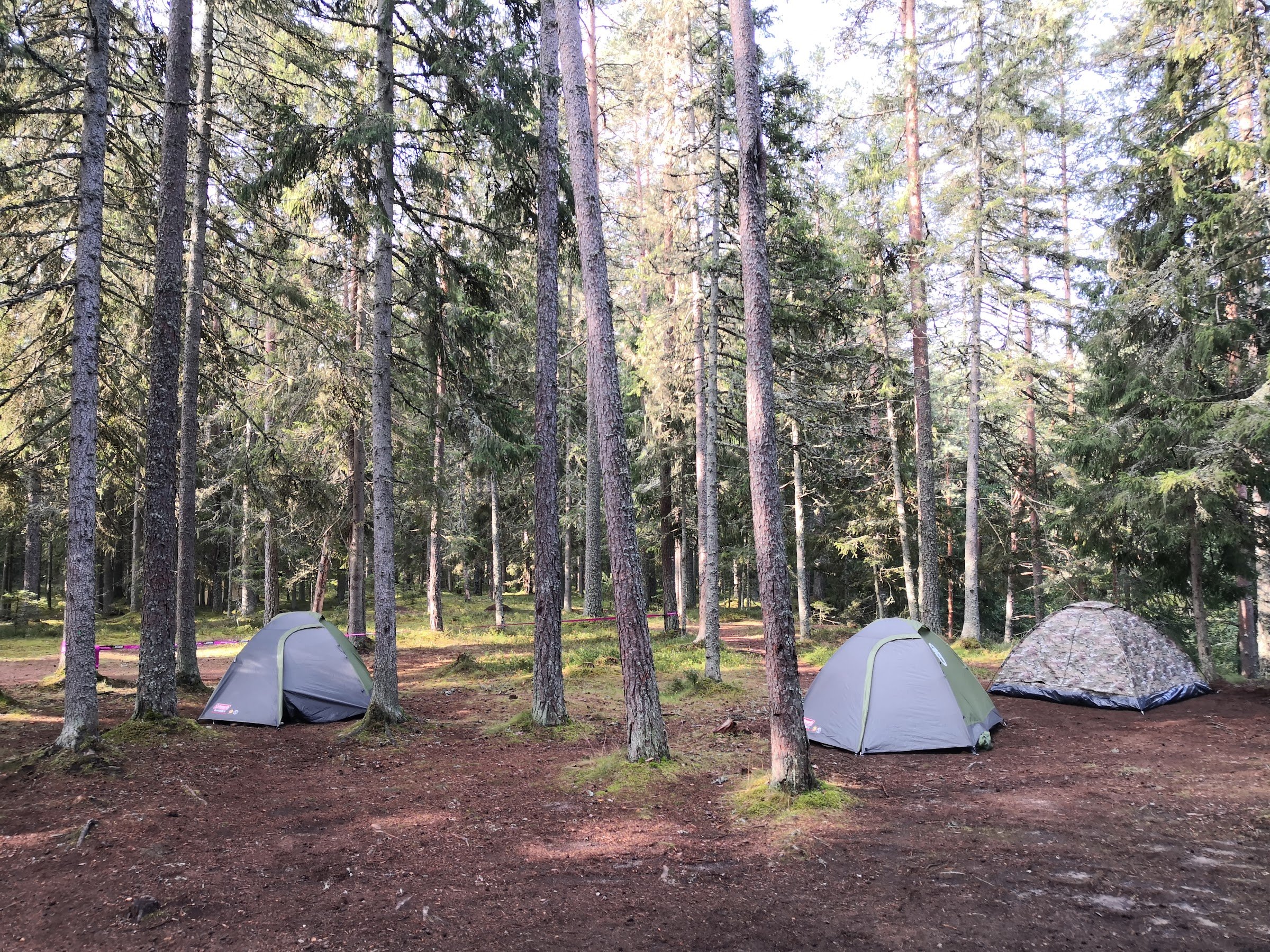RMK Nõmmeveski lõkkekoht